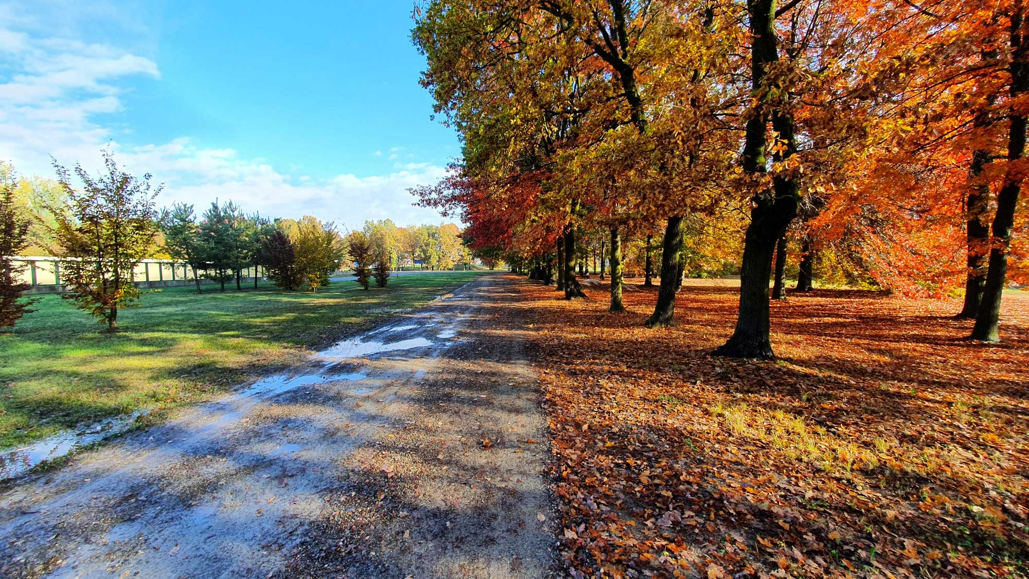 Photo of a dirt simulation track